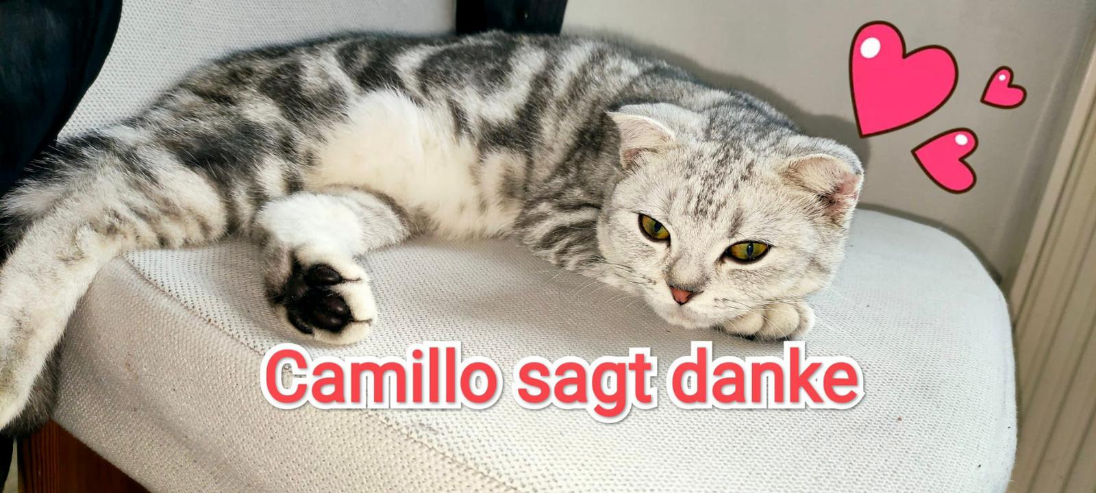 Camillo sagt Danke